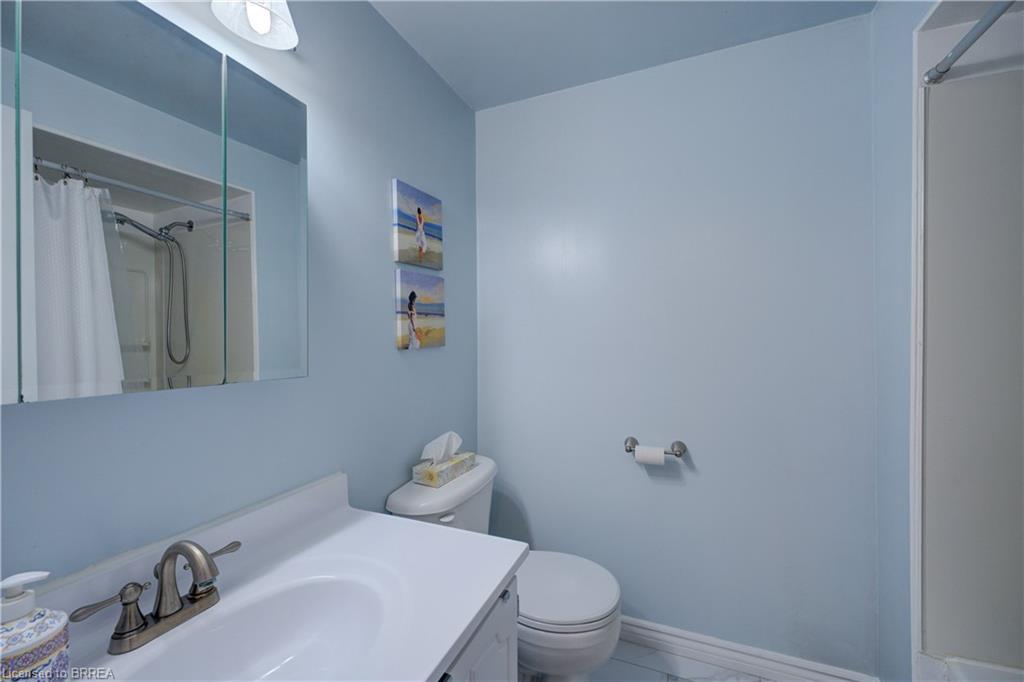 9 Max Webster Road, Brantford, ON - Indoor Photo Showing Bathroom