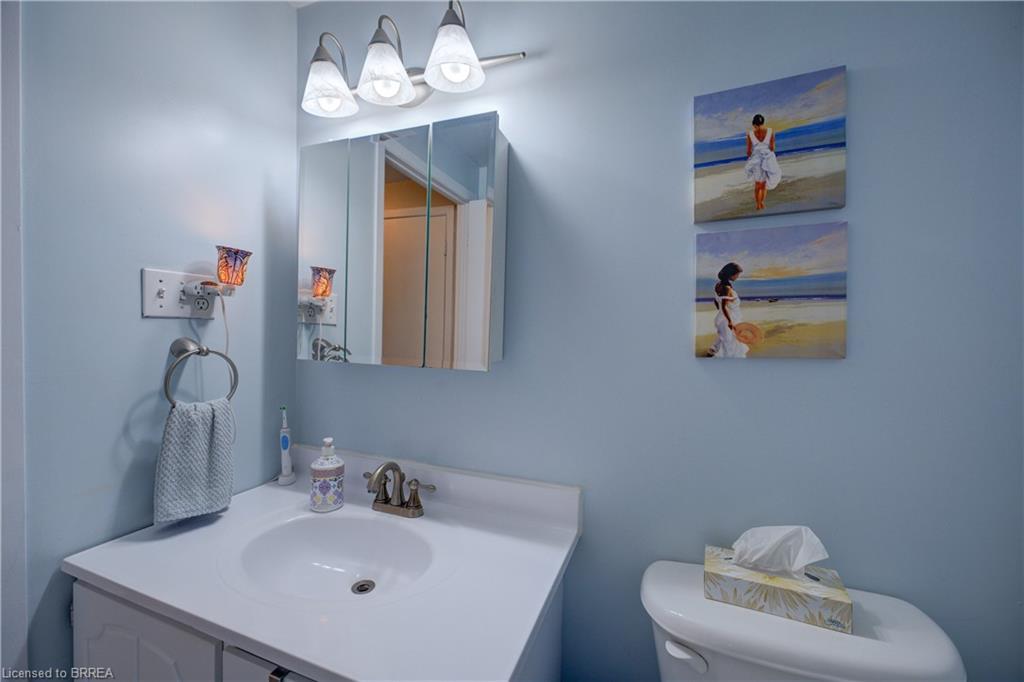 9 Max Webster Road, Brantford, ON - Indoor Photo Showing Bathroom