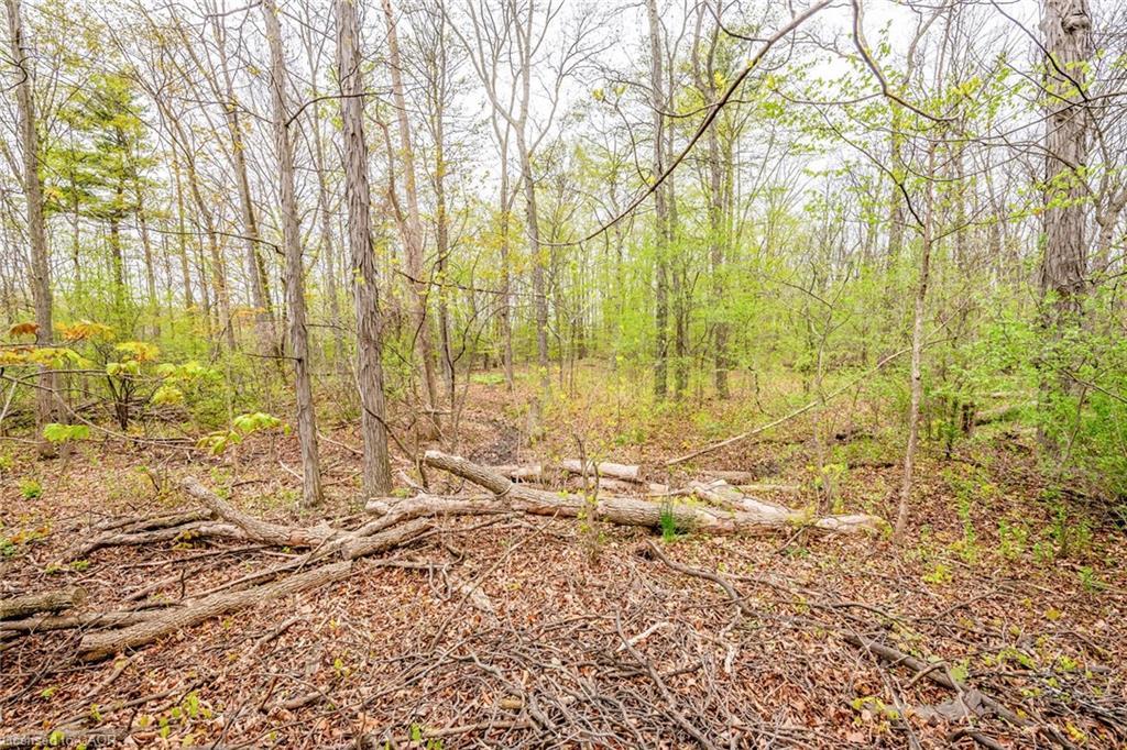 122 Forest Hill Road, Grimsby, ON - Outdoor