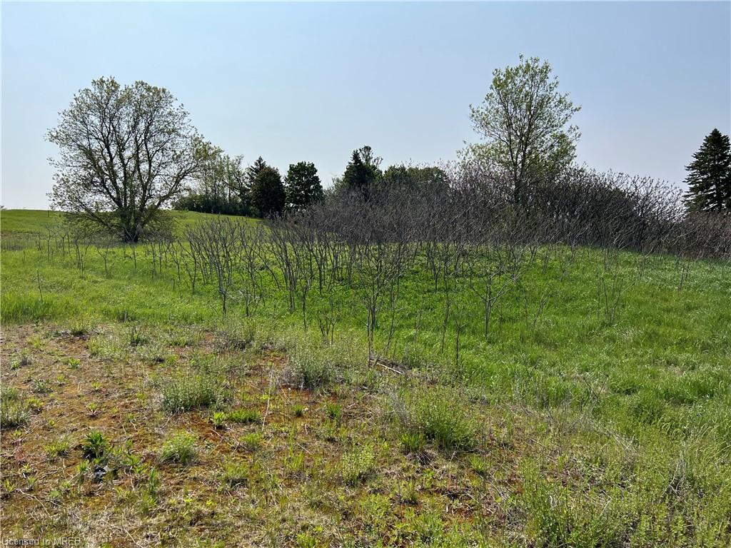 4 Country Place, Kawartha Lakes, ON