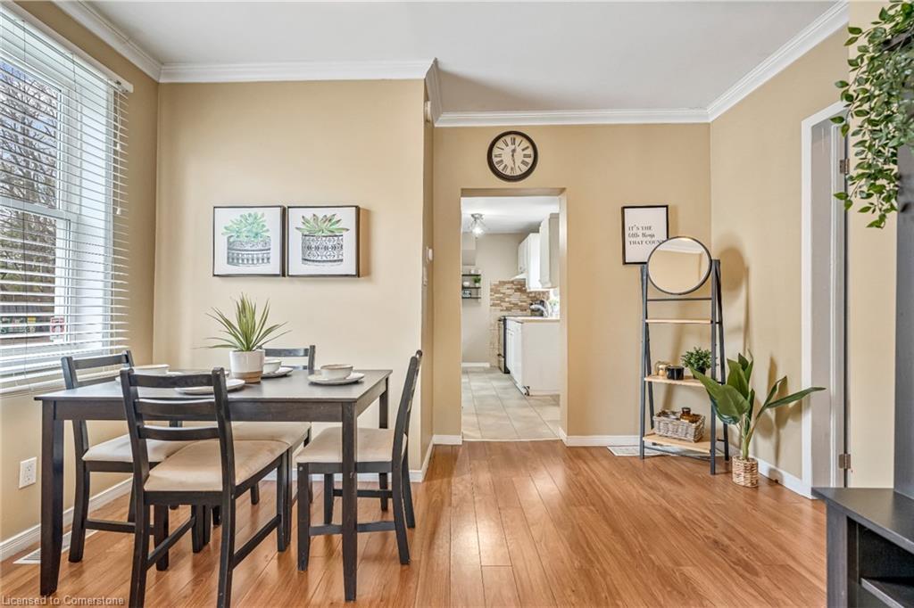 177 Young Street, Hamilton, ON - Indoor Photo Showing Dining Room