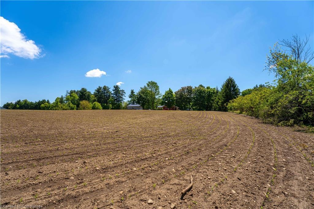 1 Seventh Concession Road, Burford, ON