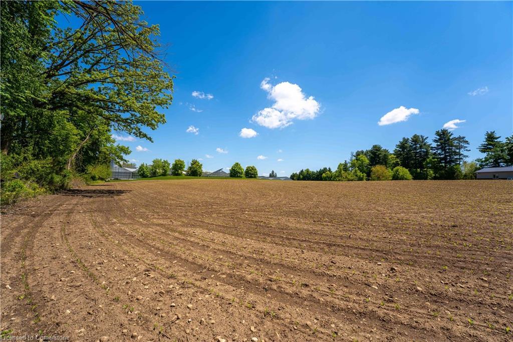 1 Seventh Concession Road, Burford, ON