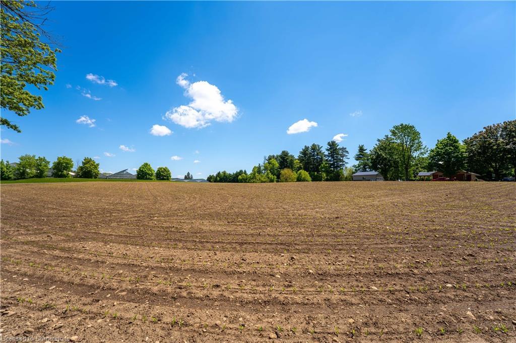 1 Seventh Concession Road, Burford, ON