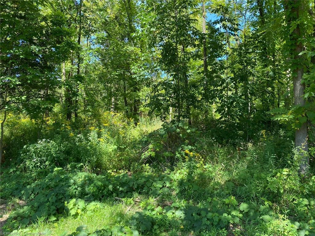 Pt Lt 3 Effingham Street, Fonthill, ON