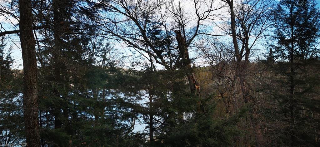 0 Echo Bay Road, Dwight, ON