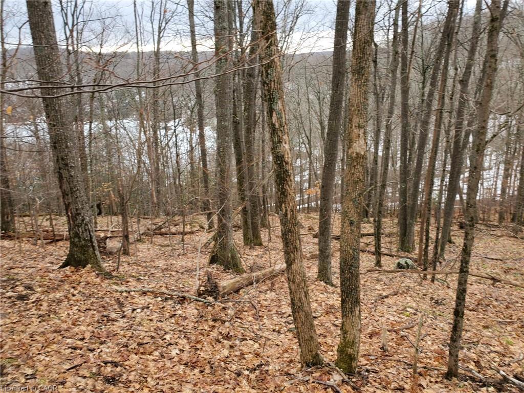 0 Echo Bay Road, Dwight, ON