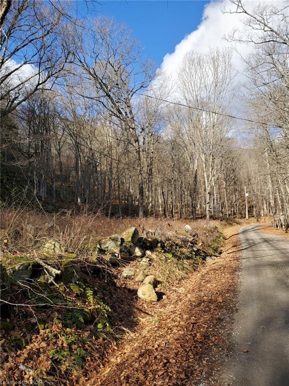 0 Echo Bay Road, Dwight, ON