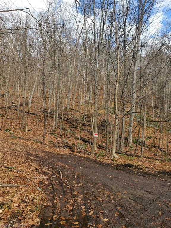 0 Echo Bay Road, Dwight, ON