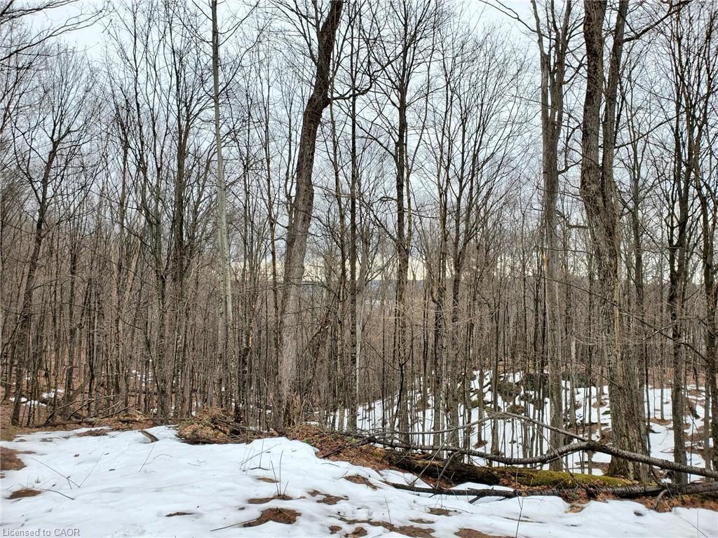 0 Echo Bay Road, Dwight, ON