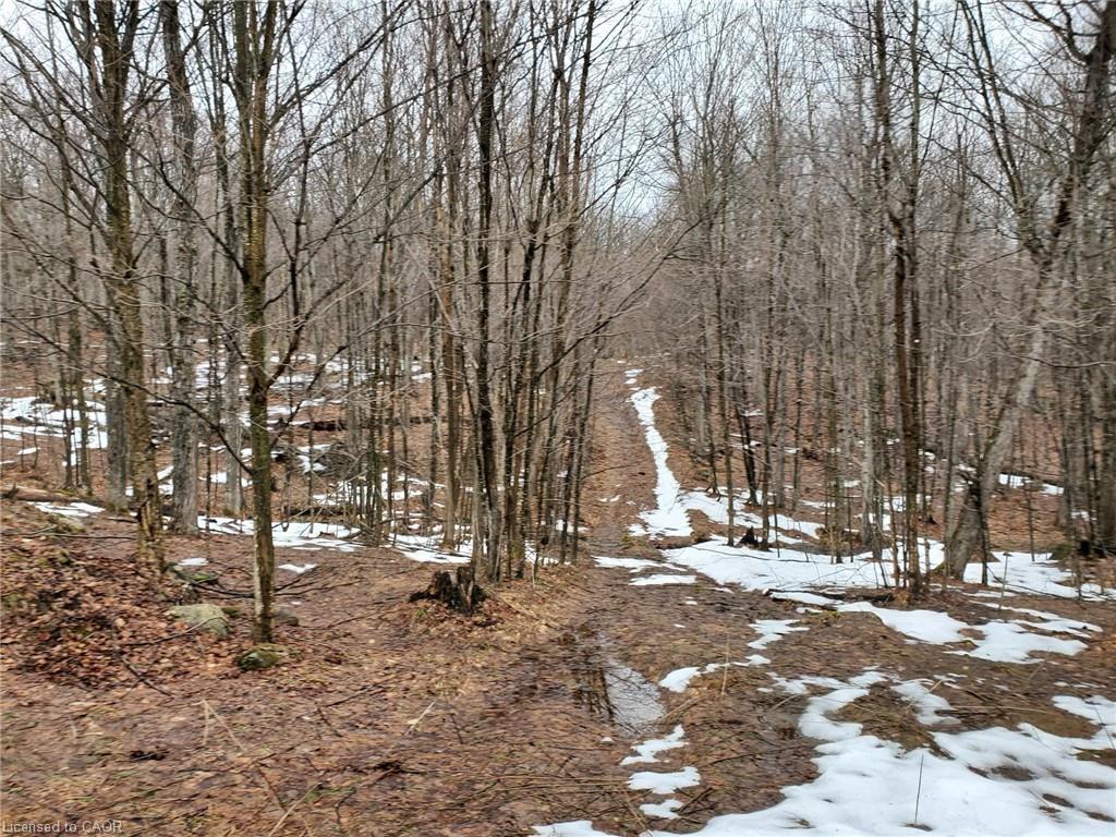 0 Echo Bay Road, Dwight, ON