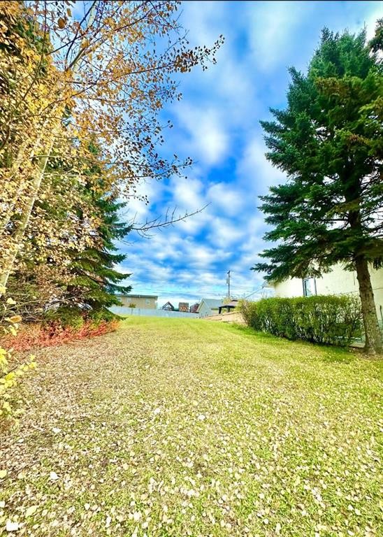 10316 103 Ave, Lac La Biche, AB