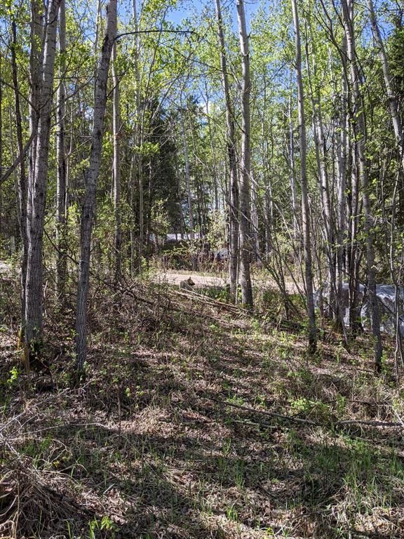 234-15538 Old Trail, Plamondon, AB