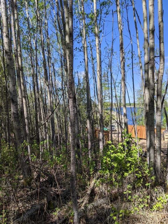 234-15538 Old Trail, Plamondon, AB