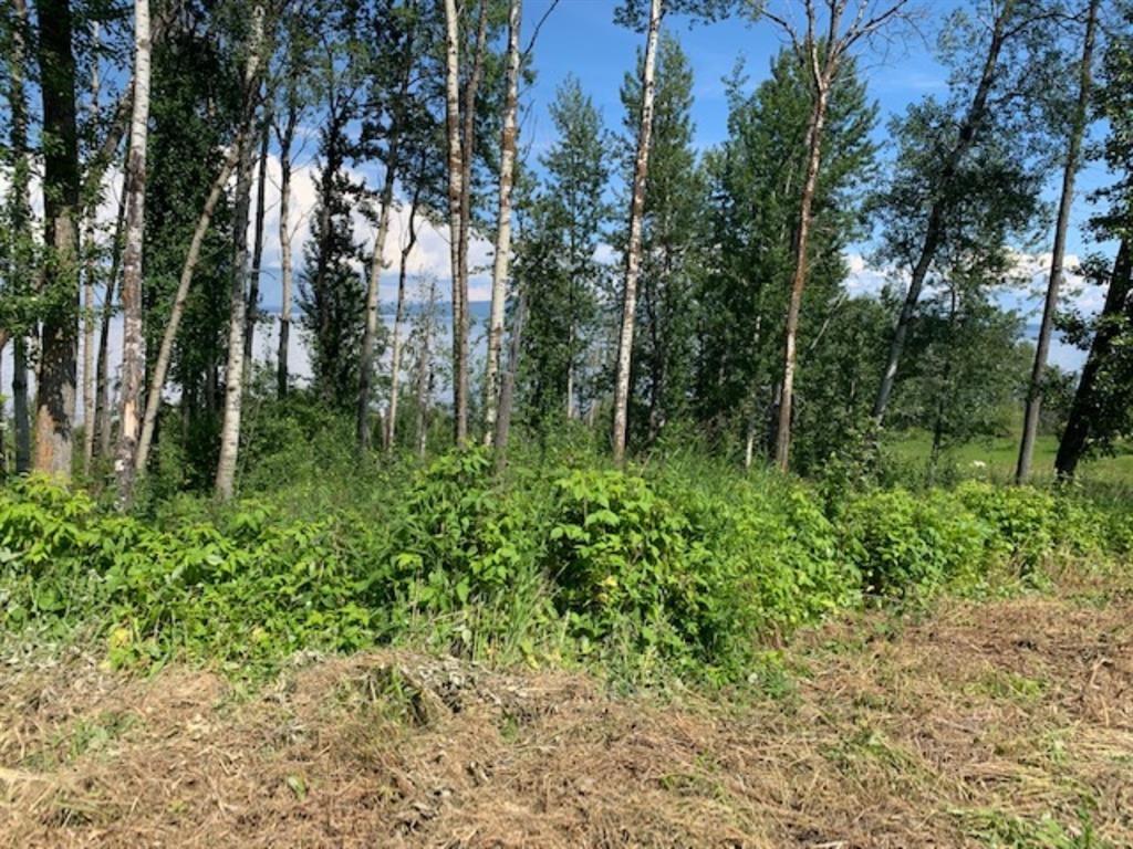 Lot 8A Bartlett Way, Widewater, AB