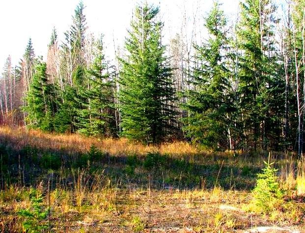 Lot 4 Old Mission Road, Lac La Biche, AB