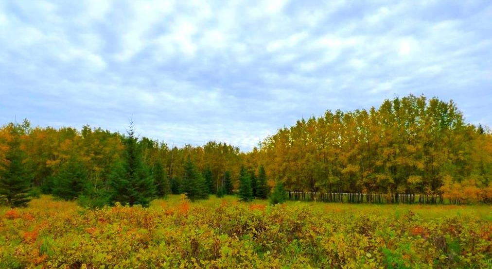 2520854, 1, 6, Lac La Biche, AB