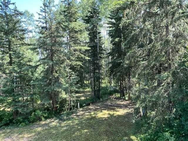 119 Poplar Drive Rr, Conklin, AB - Outdoor