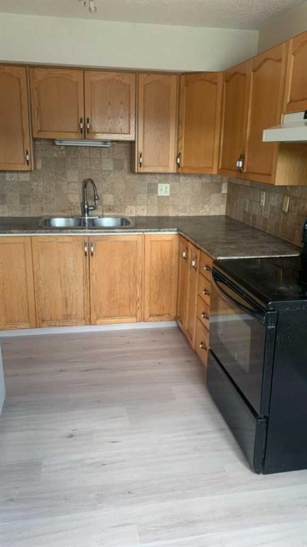 9104A 94 Ave, Lac La Biche, AB - Indoor Photo Showing Kitchen With Double Sink