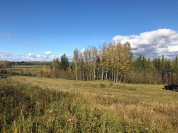 111-16326 Twp Rd 675 Plamondon, AB T0A 2T0