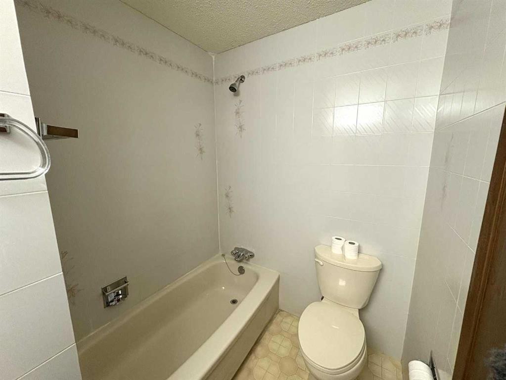 9106 94 Avenue, Lac La Biche, AB - Indoor Photo Showing Bathroom