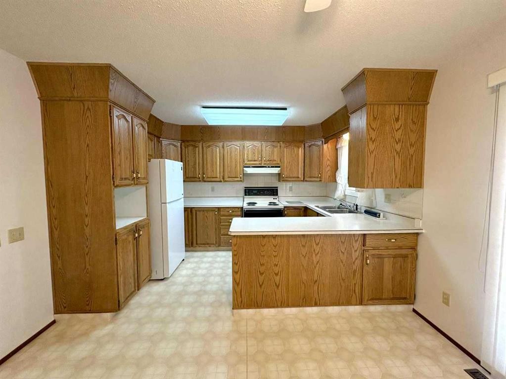9106 94 Avenue, Lac La Biche, AB - Indoor Photo Showing Kitchen With Double Sink