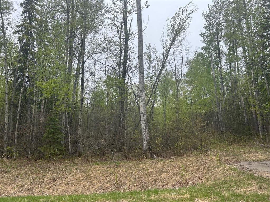 123 Poplar Drive Rr Drive, Conklin, AB