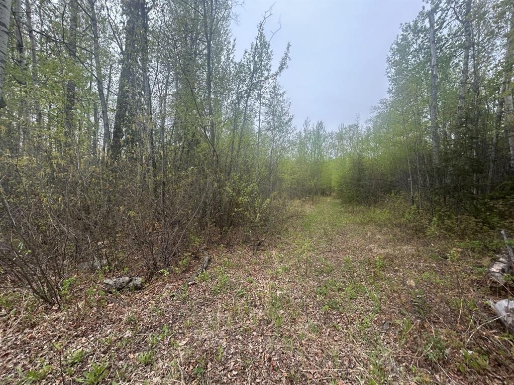 123 Poplar Drive Rr Drive, Conklin, AB