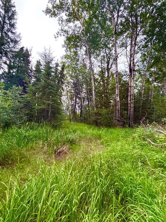 674 Twp Rd Range Rd 152, Rural Lac La Biche County, AB