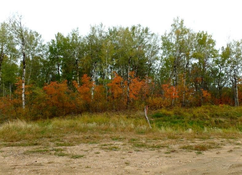 1520018 - 1 - 1 Poplar Point, Rural Lac La Biche County, AB