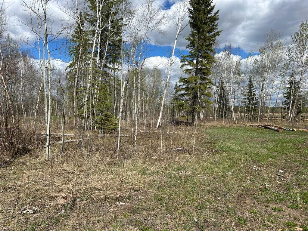 7-654036 Rge Rd 222, Athabasca, AB