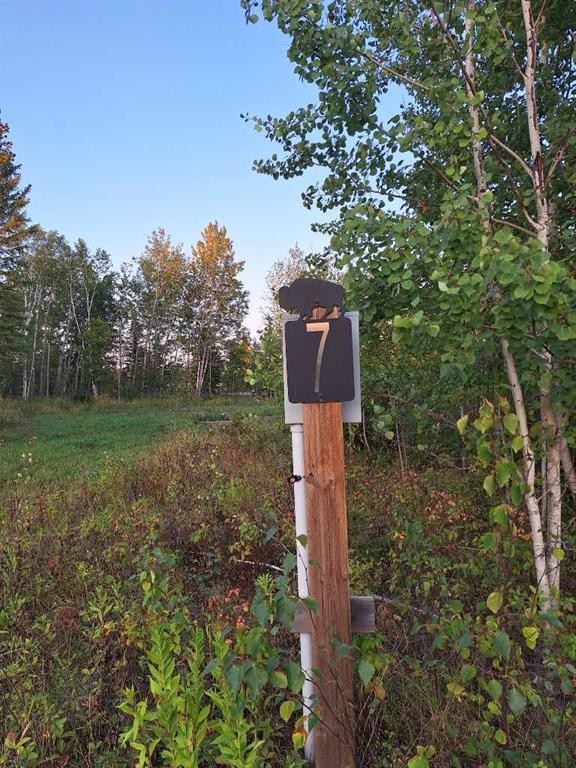 7-654036 Rge Rd 222, Athabasca, AB