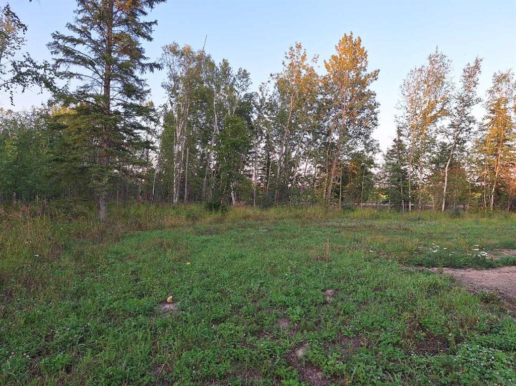 7-654036 Rge Rd 222, Athabasca, AB