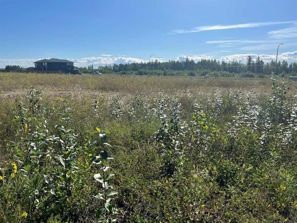 109 Dwyer Close, Fort Mcmurray, AB