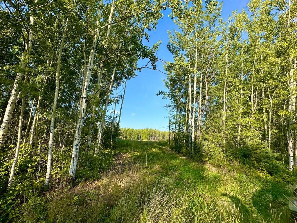 123-67417 Mcgrane Road, Lac La Biche, AB