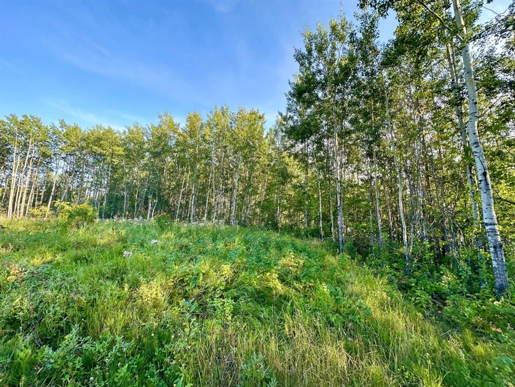 123-67417 Mcgrane Road, Lac La Biche, AB