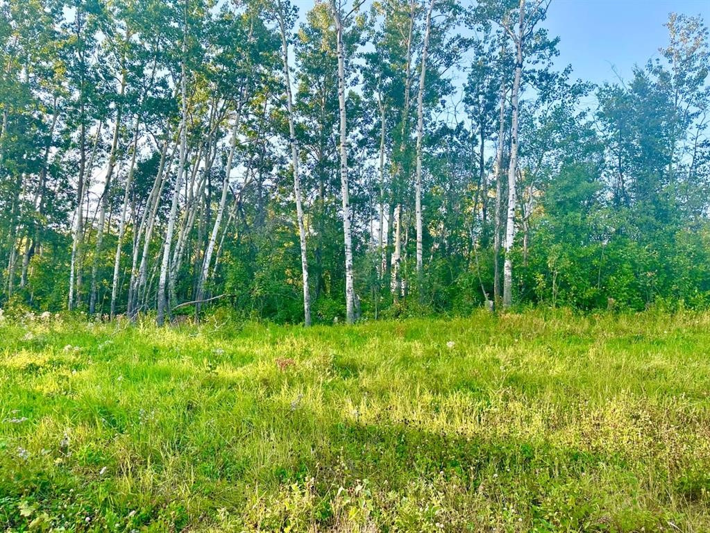 121-67417 Mcgrane Road, Lac La Biche, AB