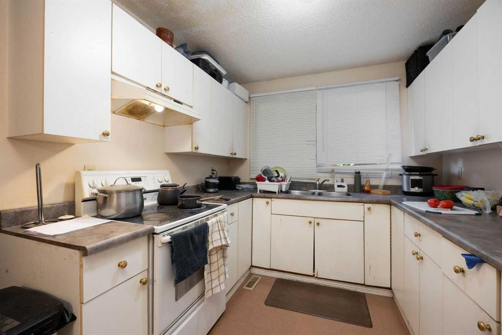9907B Gordon Avenue, Fort Mcmurray, AB - Indoor Photo Showing Kitchen With Double Sink