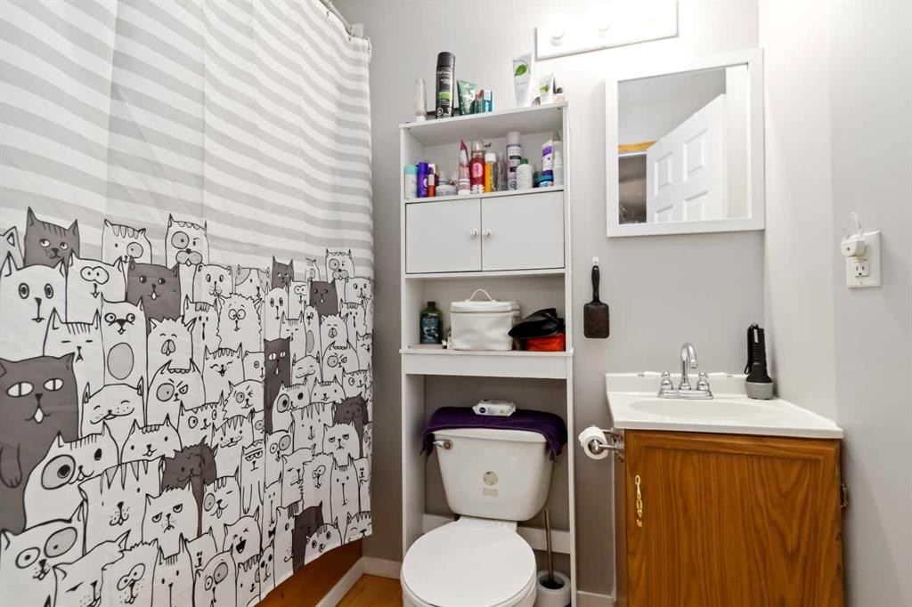 181 Greenbriar Bay, Fort Mcmurray, AB - Indoor Photo Showing Bathroom