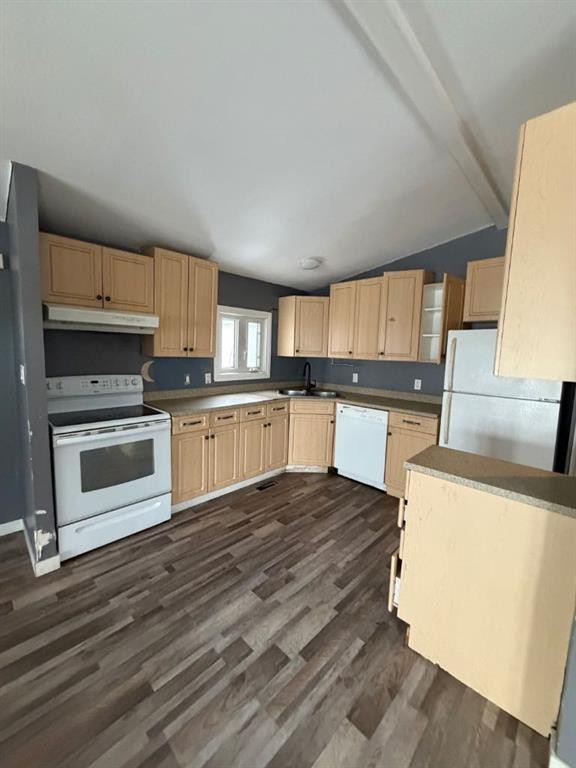 108 Caouette Crescent, Fort Mcmurray, AB - Indoor Photo Showing Kitchen