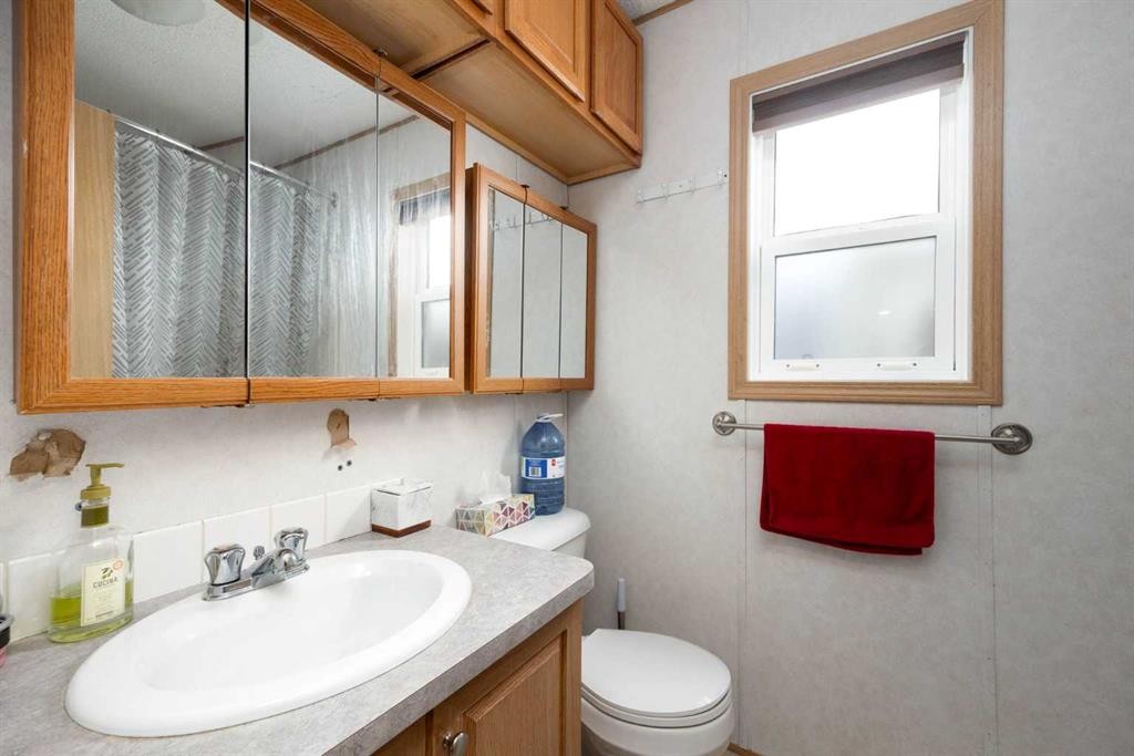 161 Grey Crescent, Fort Mcmurray, AB - Indoor Photo Showing Bathroom