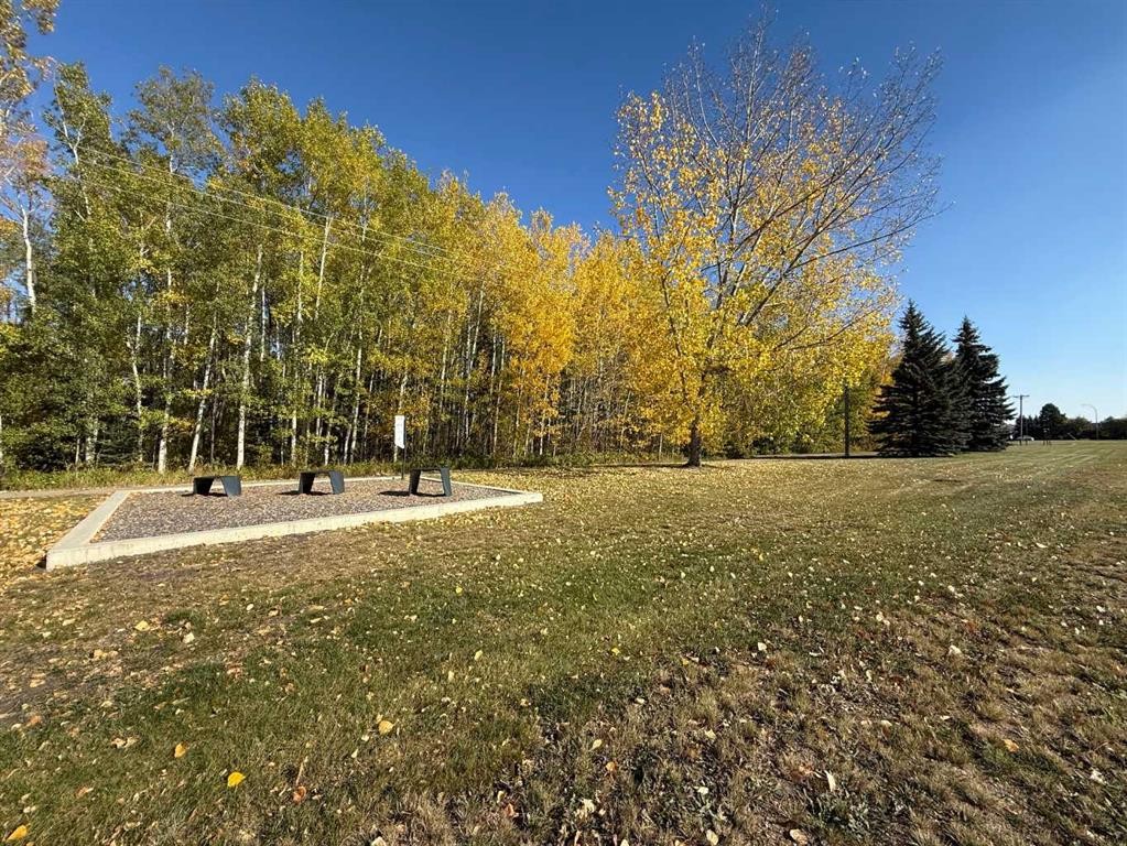 247 Cornwall Drive, Fort Mcmurray, AB - Outdoor With View