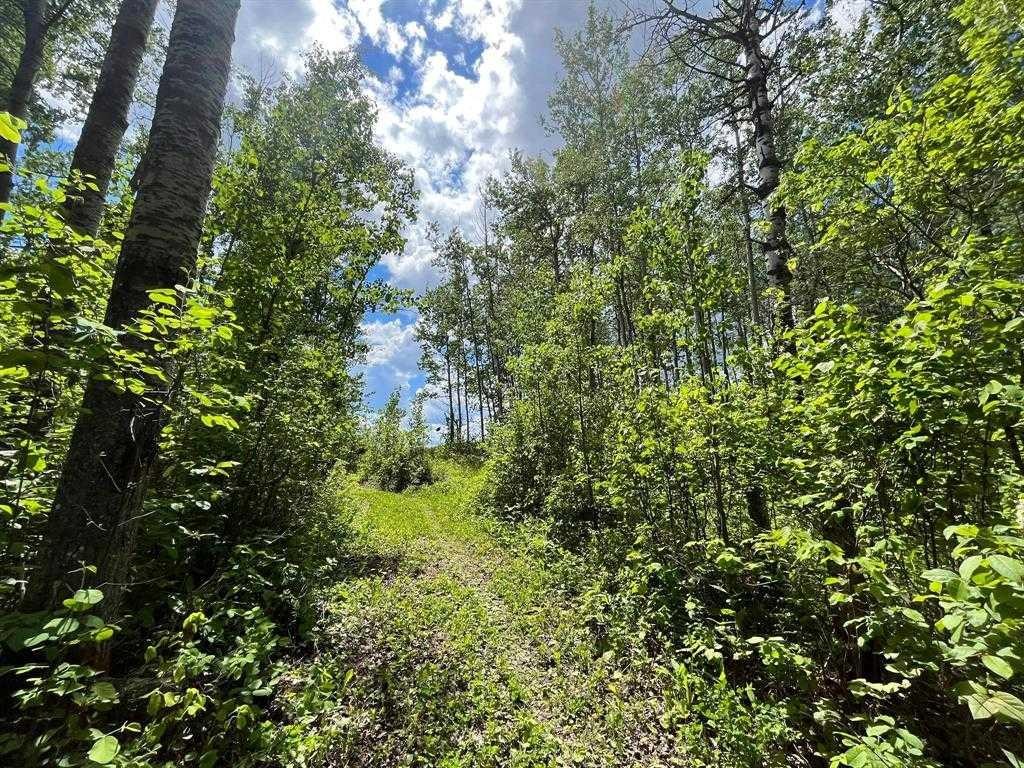 10 15023 Highway 55, Lac La Biche, AB