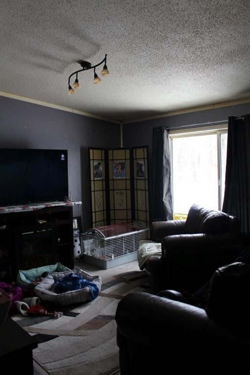 131 Pine Lane, Conklin, AB - Indoor Photo Showing Living Room