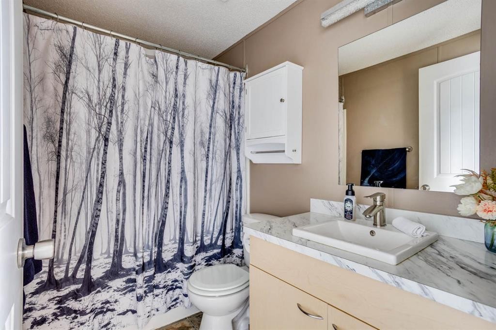 123 Hunter Place, Fort Mcmurray, AB - Indoor Photo Showing Bathroom