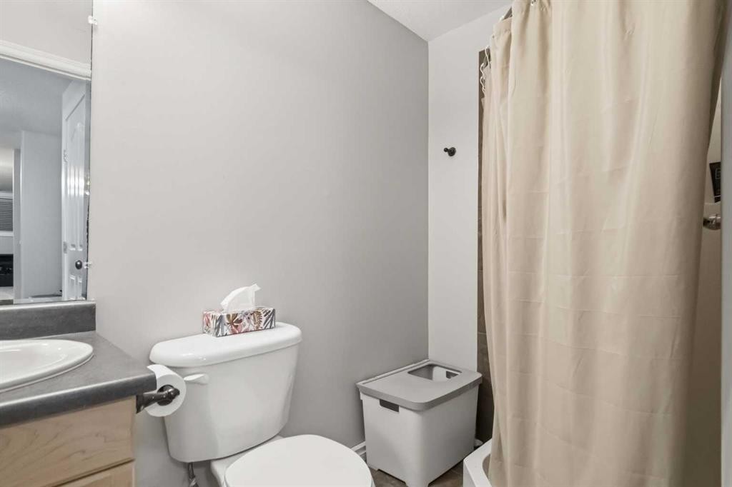 112 Saline Creek Way, Fort Mcmurray, AB - Indoor Photo Showing Bathroom