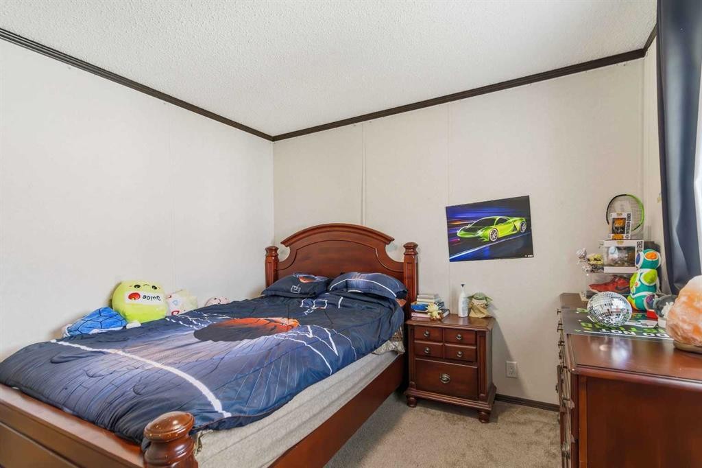 185 Grey Crescent, Fort Mcmurray, AB - Indoor Photo Showing Bedroom