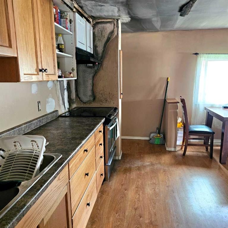 9821 101 Ave, Plamondon, AB - Indoor Photo Showing Kitchen