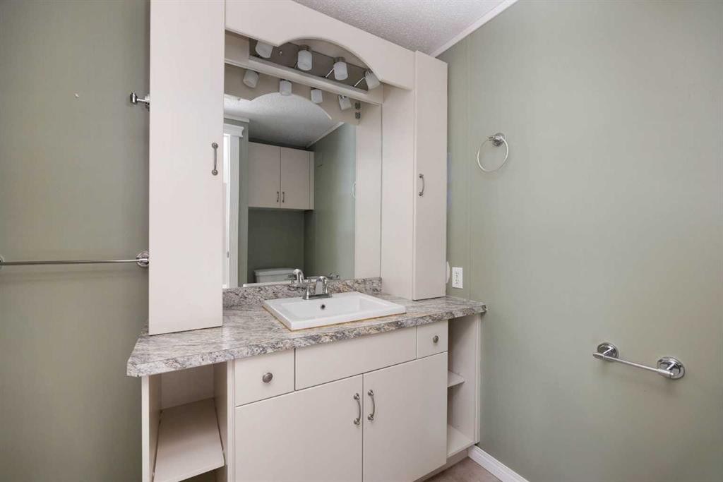 132 Grey Owl Place, Fort Mcmurray, AB - Indoor Photo Showing Bathroom