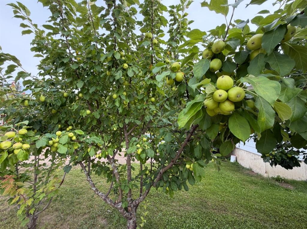 708 6 Street, Smith, AB - Outdoor